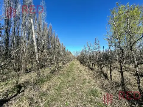 Terreno en Venta de 10925,0 m2