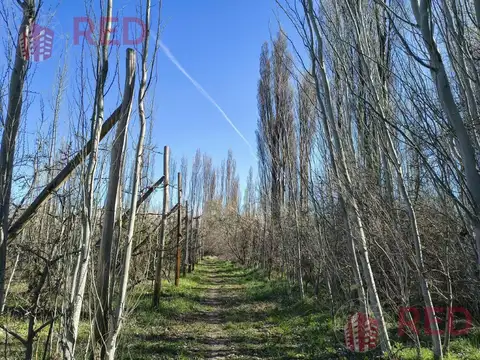 Terreno en Vista Alegre Sur