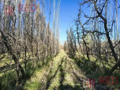 Terreno en Venta en Vista Alegre Sur, USD 70.000