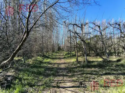 Terreno en Venta en Vista Alegre Sur, USD 70.000