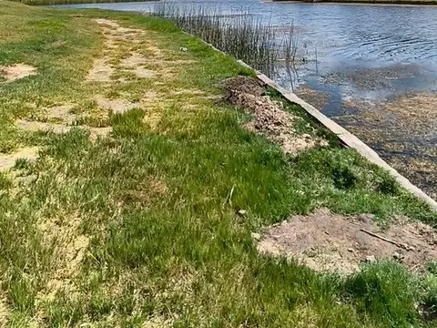 Lote 954.44m Muelles Puertos del Lago Excelente Ub
