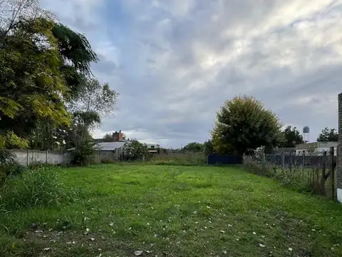 Consultar dirección