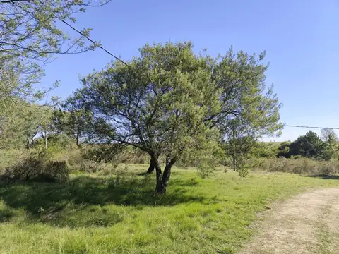 Terreno en Venta de 10000,0 m2