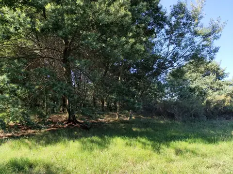 Terreno en Venta en Colonia del Sacramento, USD 48.000