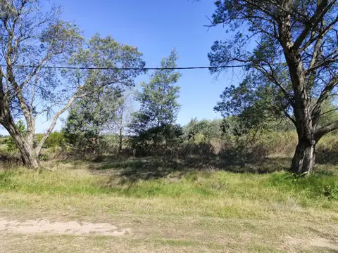 Terreno de Una Hectárea en El Ensueño - Los Aromos