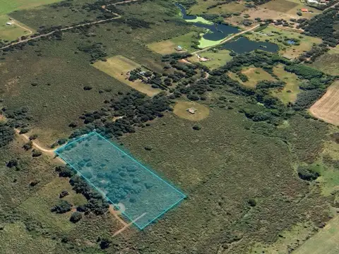 Terreno de Una Hectárea en El Ensueño - Los Aromos