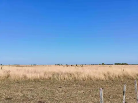 Campo en Venta en Poblet, Partido de La Plata