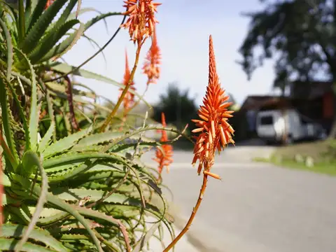 LOTE de 315m2 en Venta  Del Viso Pilar  Financiado