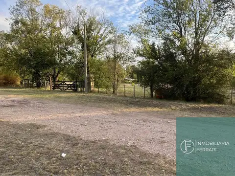 Carpintero entre Jilguero y Hornero 1111100