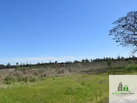 Terreno en Venta en Concordia, USD 60.000