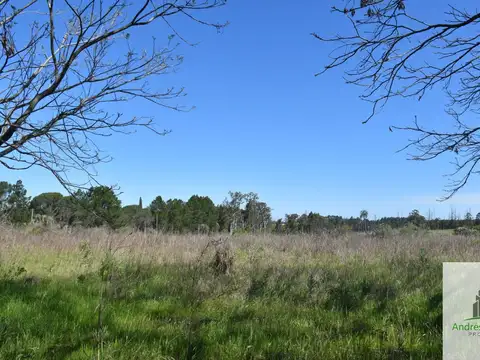 Terreno en Venta 80  mts Fondo