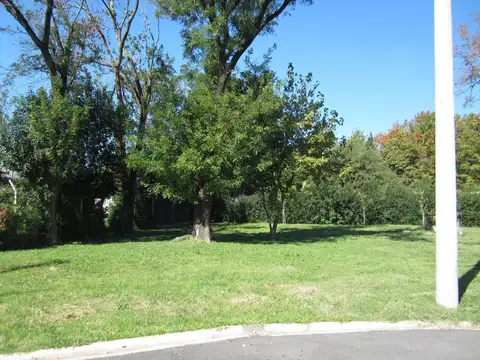 Terreno en Venta 37  mts Fondo
