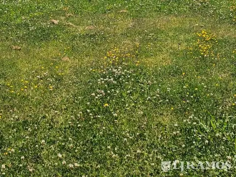 Terreno en Venta en Puertos - Muelles, USD 260.000