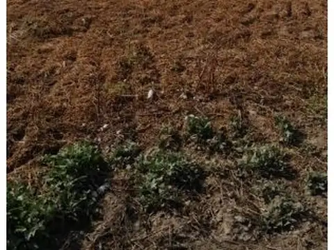 Campo en Venta en La Banda, Banda