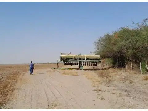 Ruta 21