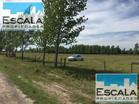 Terreno en Venta 52  mts Fondo