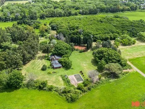 Avenida San Fernando al 800