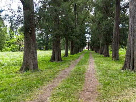 CAMPO EN GENERAL RODRIGUEZ