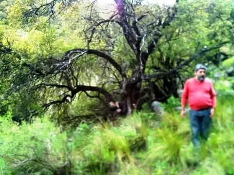 Dique Piscu Yaco 100