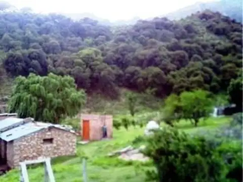 Campo en Venta de 10  ha