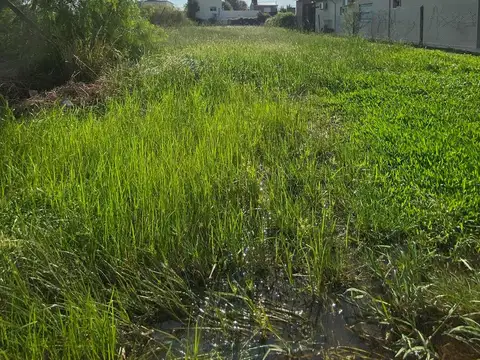 Lote  de 518m2 - Punta Chacra - Roldan