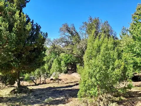 Terreno en Venta en San Martin De Los Andes, USD 65.000