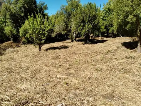 Terreno en Venta de 875,0 m2