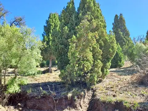Terreno en Venta en San Martin De Los Andes, USD 65.000