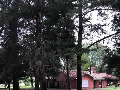 CAMPO EN VENTA EN EXALTACION DE LA CRUZ