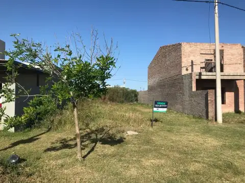 Terreno en Venta 25  mts Fondo