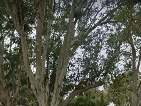 Excelente oportunidad lote en Santa Teresita solo queda uno disponible 