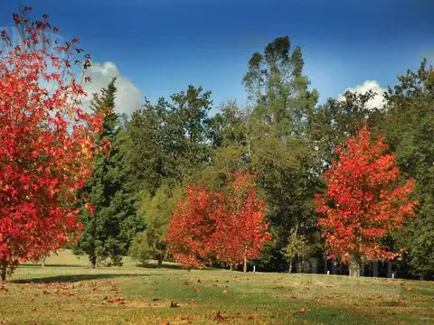 Terreno en Venta en Abril Club De Campo, USD 495.000