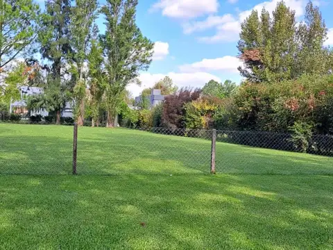 Terreno en Venta 50  mts Fondo