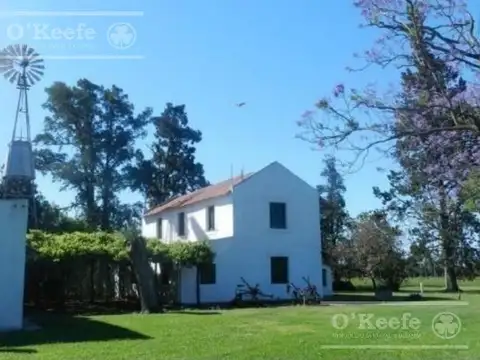 Campo  en venta de 44 has  Agricolas en Baradero