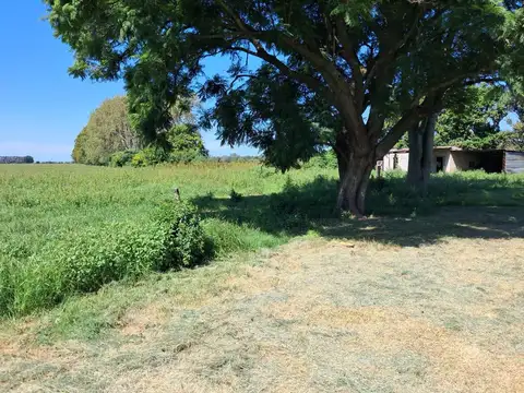 Campo  en venta de 44 has  Agricolas en Baradero