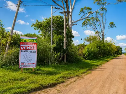 Terreno en Venta 40  mts Fondo