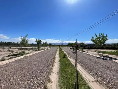 LOTE CON PISCINA, BARRIO ATARDECERES DE VIEYTES