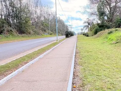 Acceso Calabacilla 100