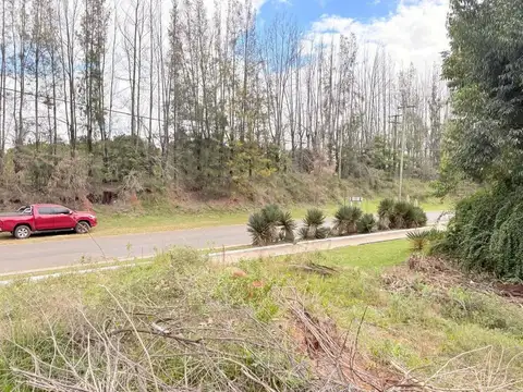 Terreno Calabacilla
