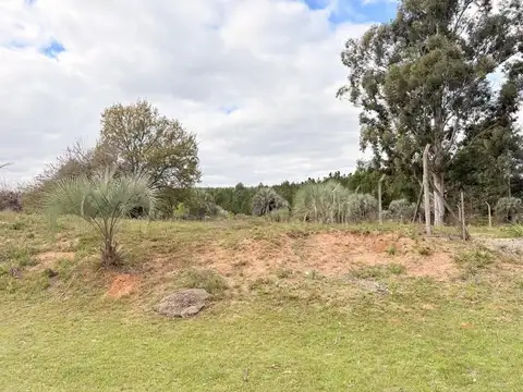 Terreno en Venta de 890,0 m2