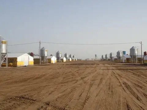 Campo en Venta en Pedernales, Partido de 25 de Mayo