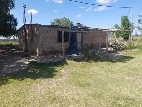 VENTA Finca 44 Has Con Viñedos Lavalle Mendoza