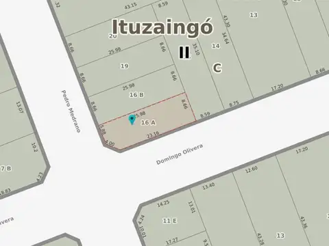 Olivera 600