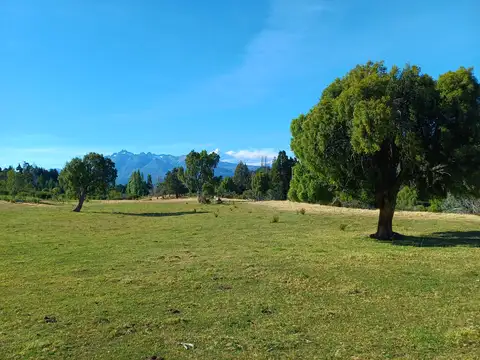 Campo en Venta de 4  ha