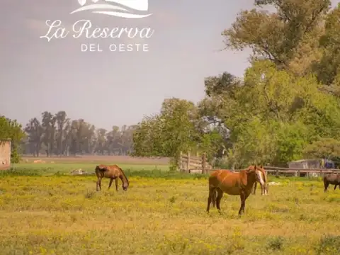 Terreno en Venta en Terravista, USD 9.000