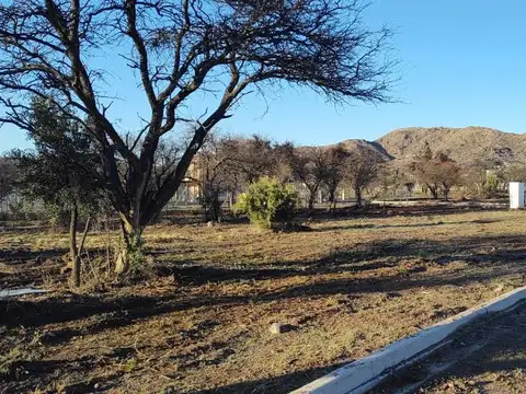 Terreno en Venta de 785,0 m2