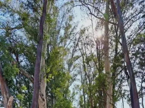 Terreno en Venta en Pilar Del Este, USD 50.000