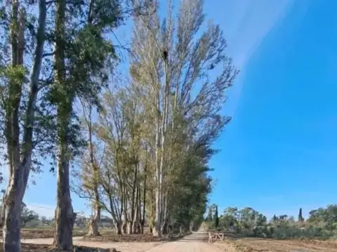 Terreno en Venta de 520,0 m2