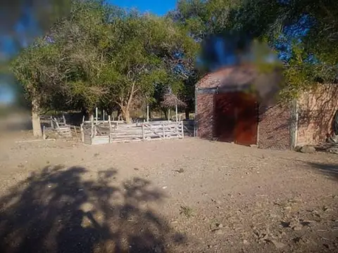Campo 5.300 Has, Ganaderas, Los Menucos,  REGIÓN SUR LÍNEA PATAGÓNICA.