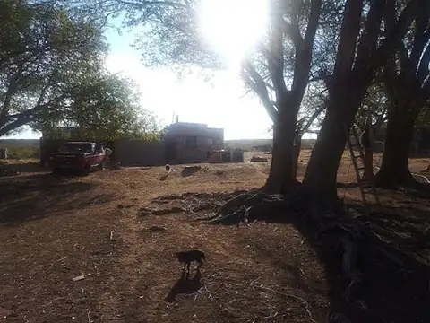 RIO NEGRO, LOS MENUCOS